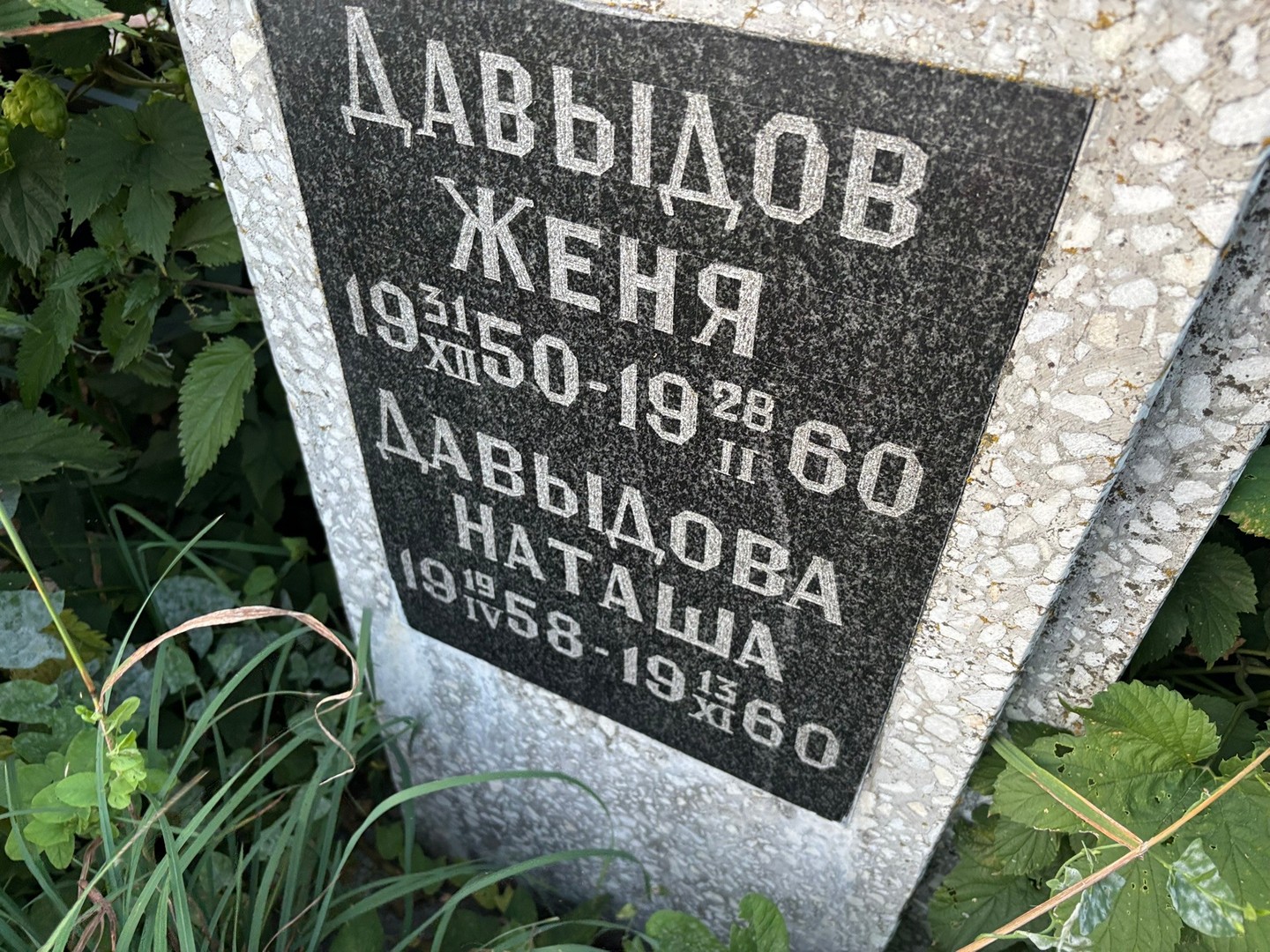Давыдов Давыдов