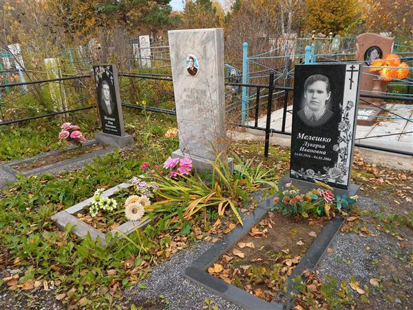 Мелешко Николай Иосифович