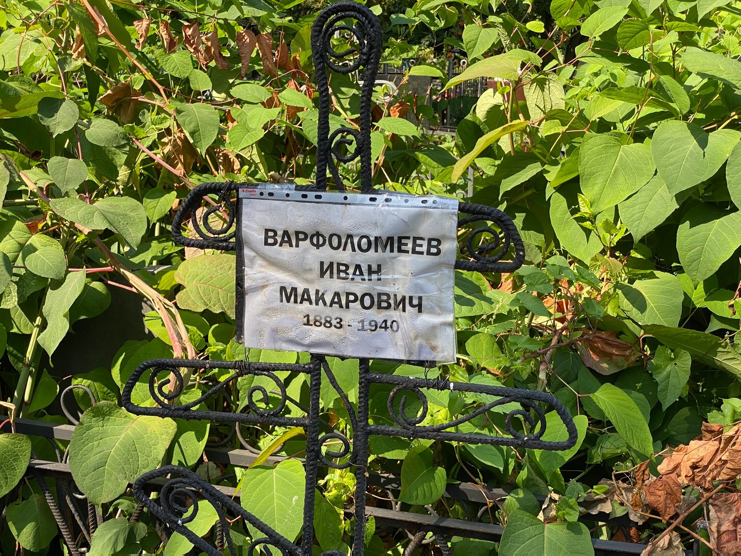 Варфоломеев