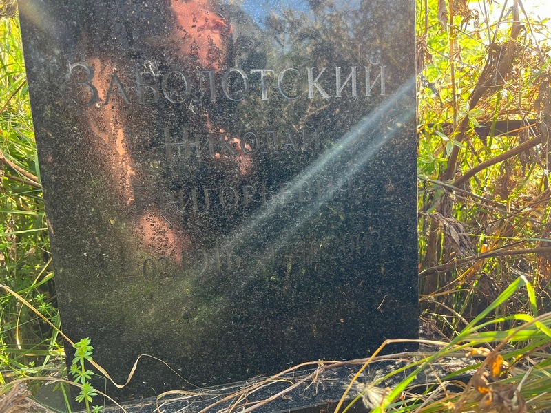 Заболотский