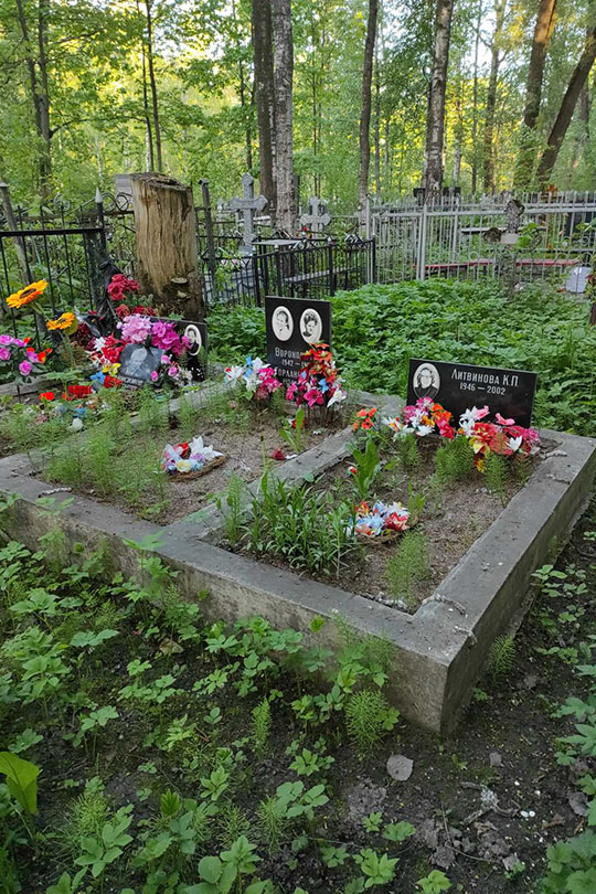 Литвинова К. П.