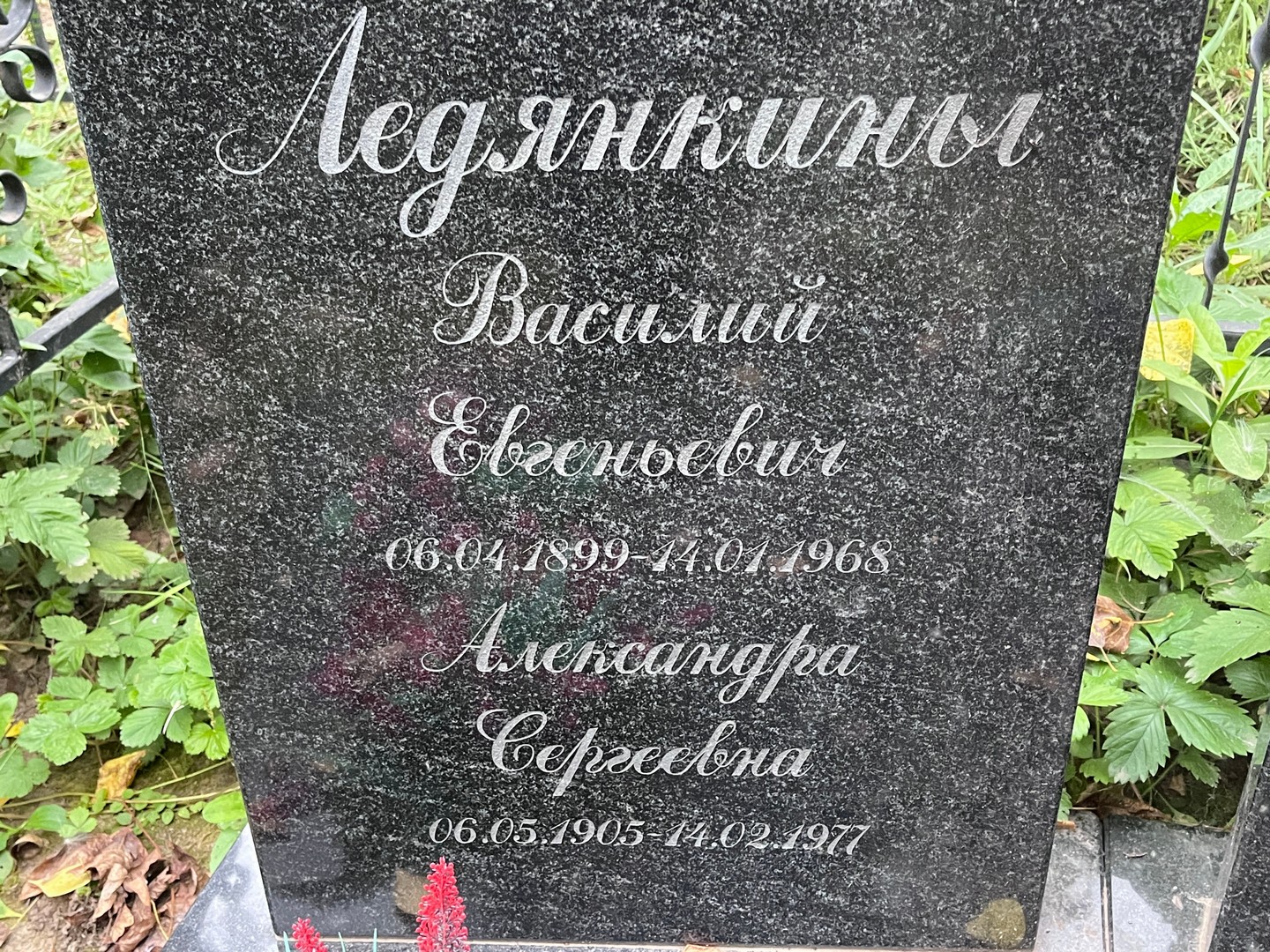 Ледянкин