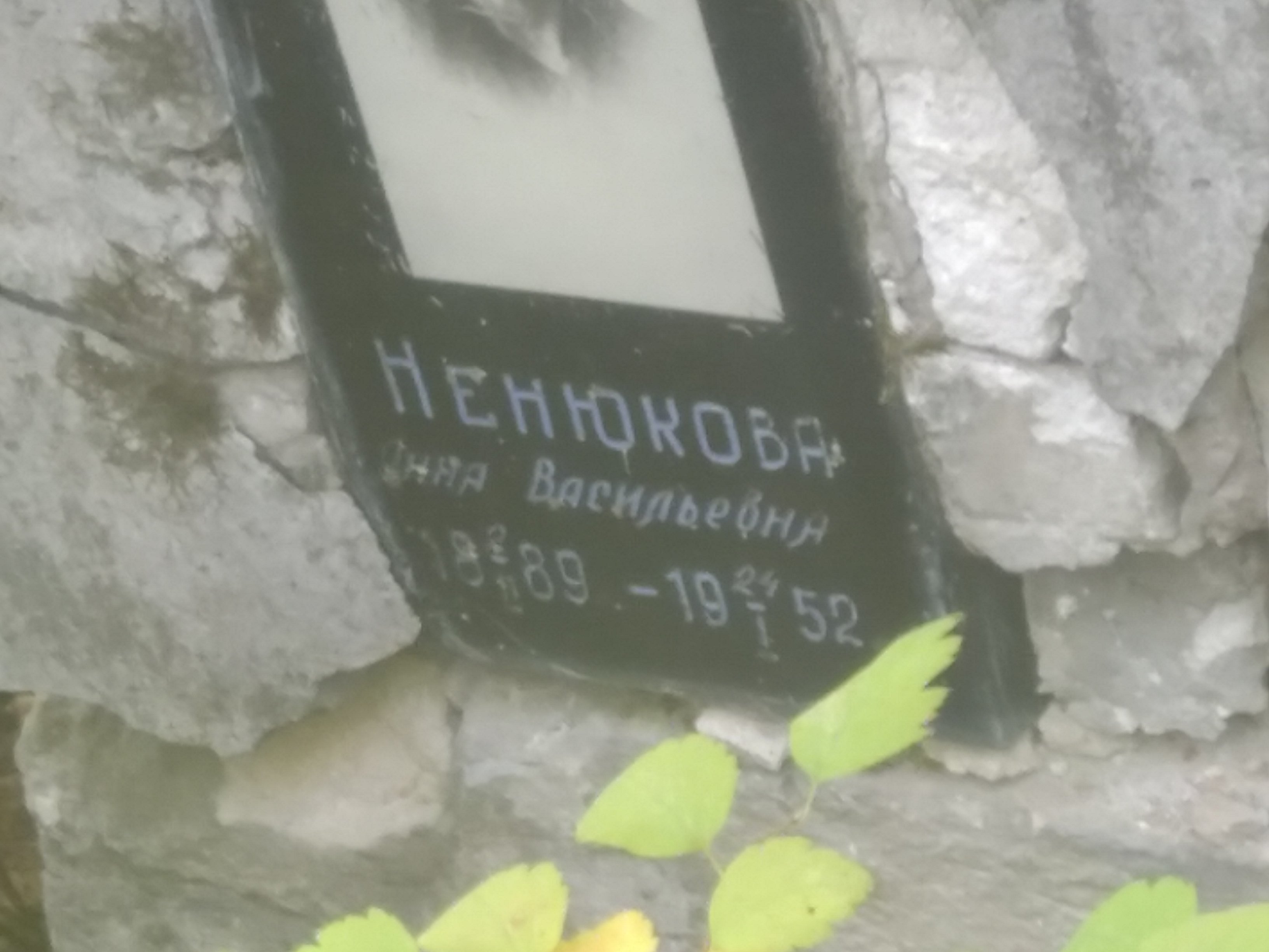 Ненюкова Анна Васильевна