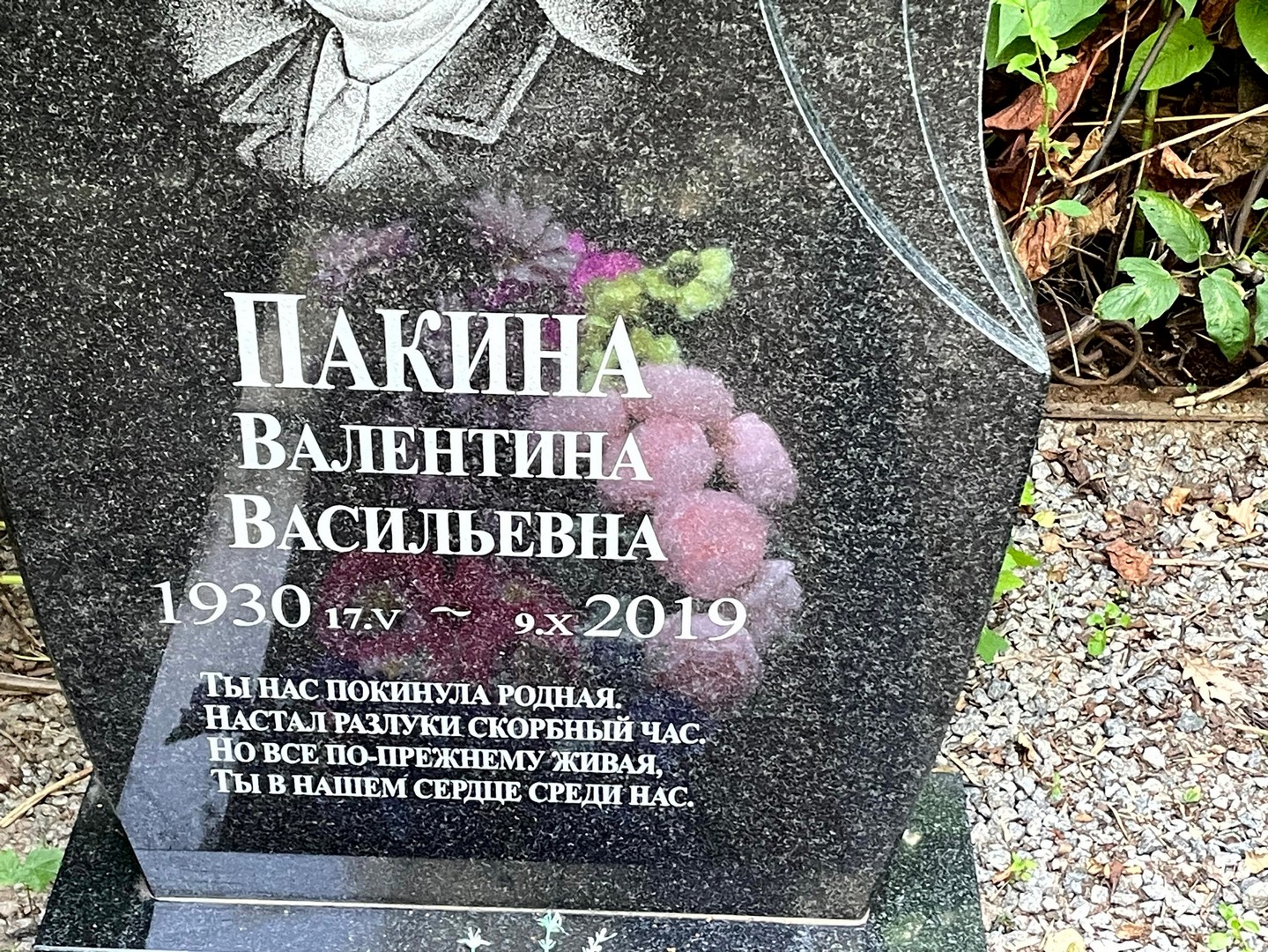 Пакина