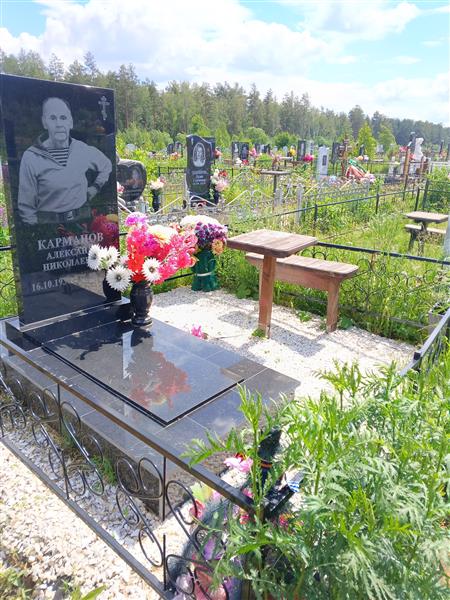 Карманов Александр Николаевич
