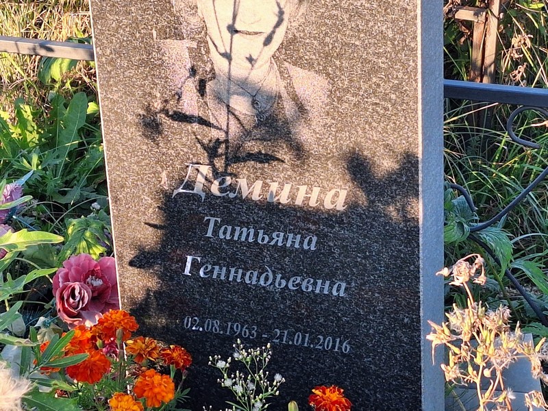 Демина