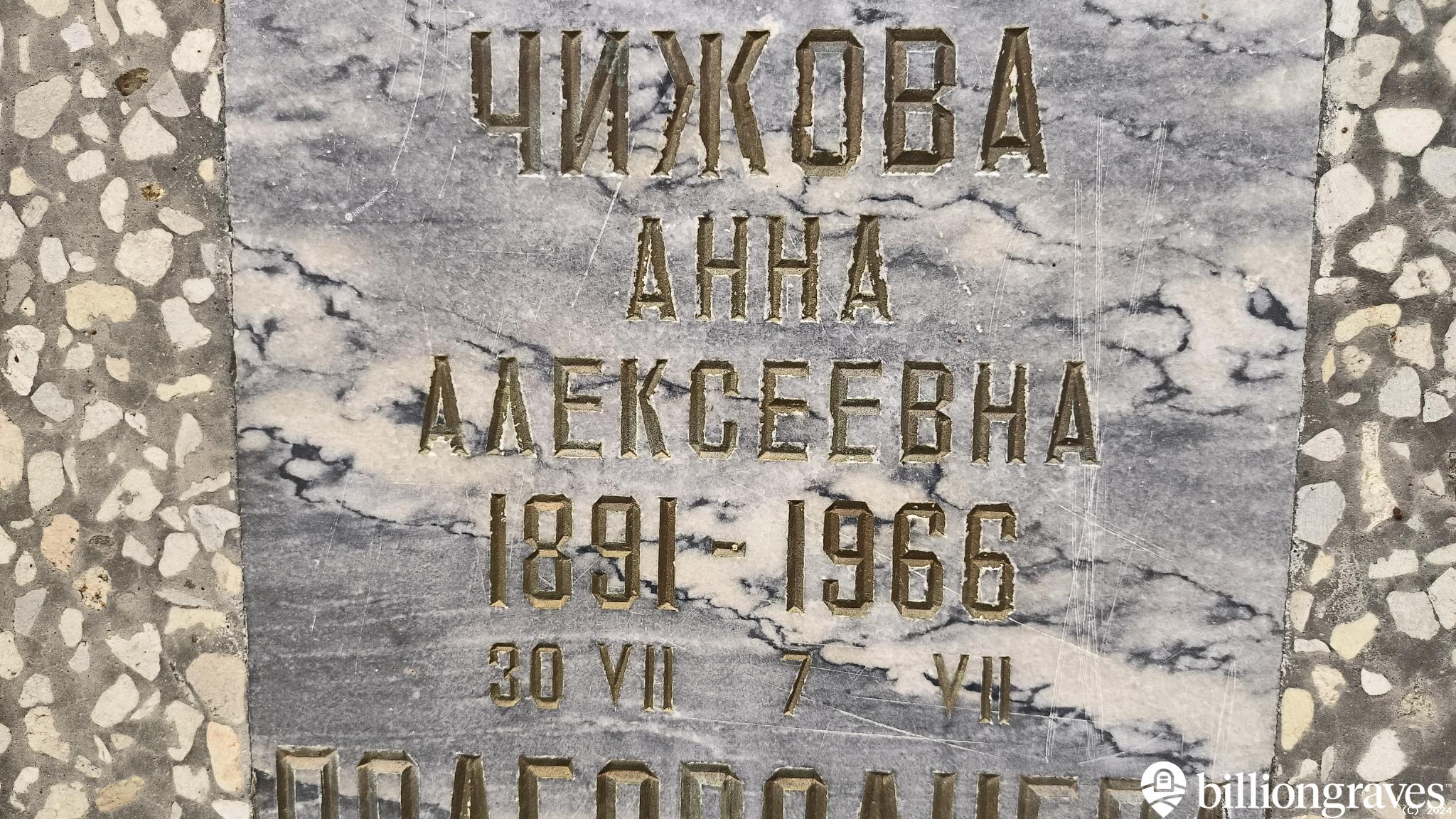 Чижова Анна Алексеевна