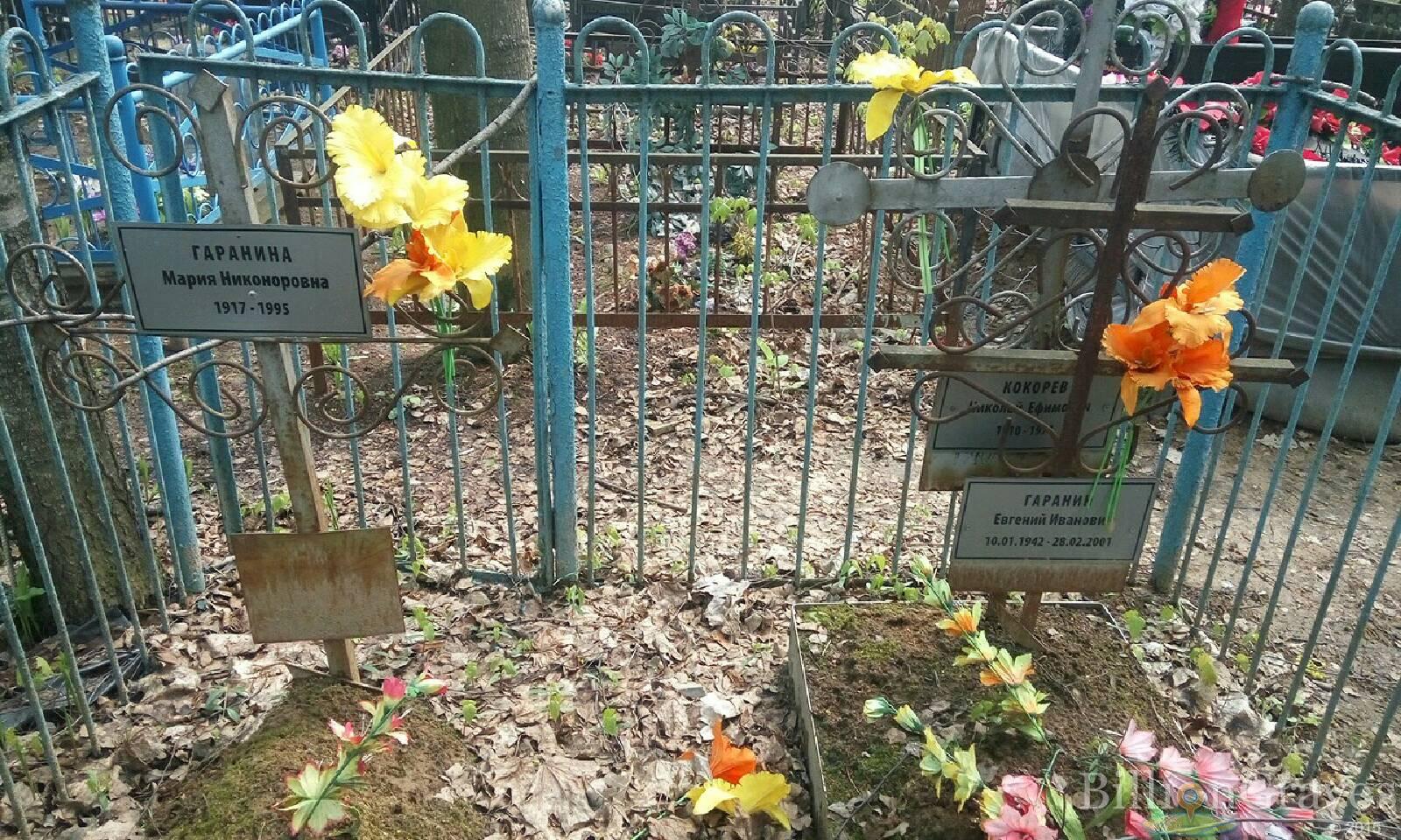 гаранин евгений иванович