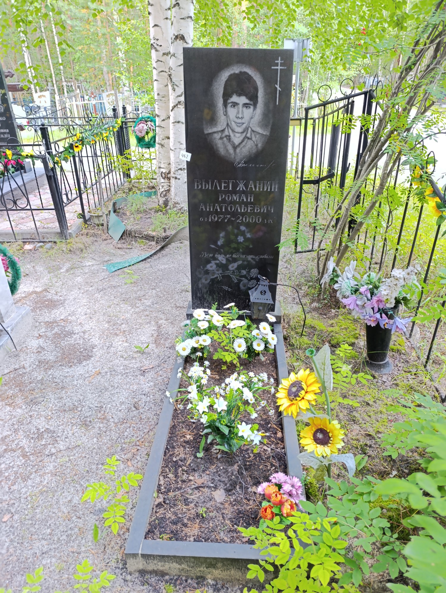 Вылегжанин Роман Анатольевич