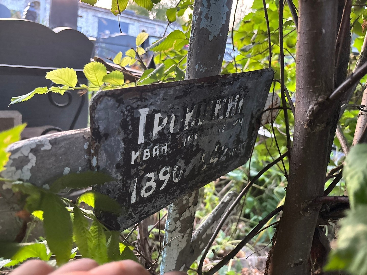 Троицкий
