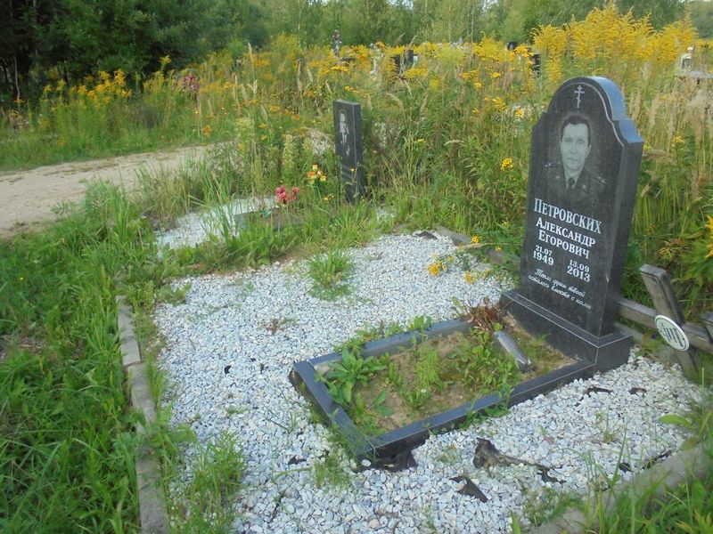 Петровских Александр Егорович