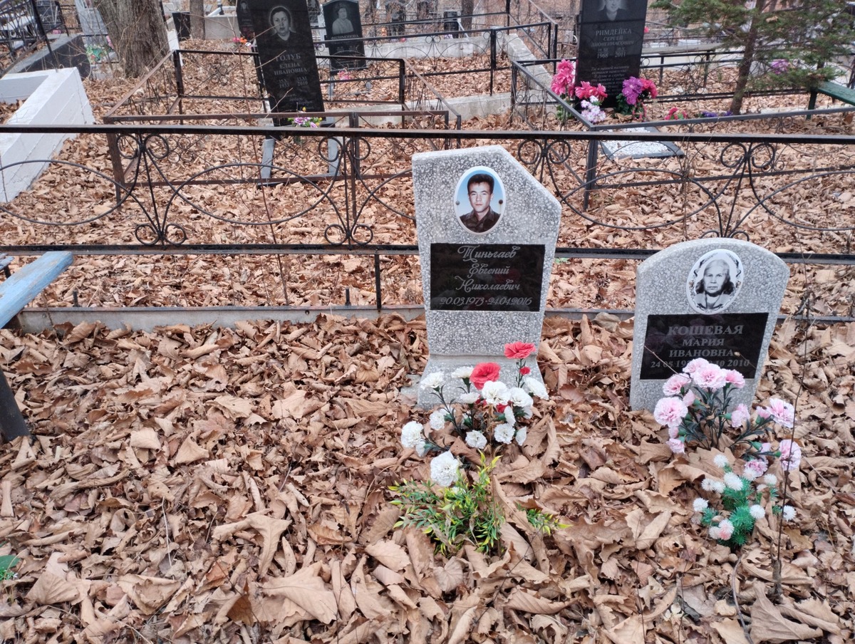 Тиньгаев Евгений Николаевич
