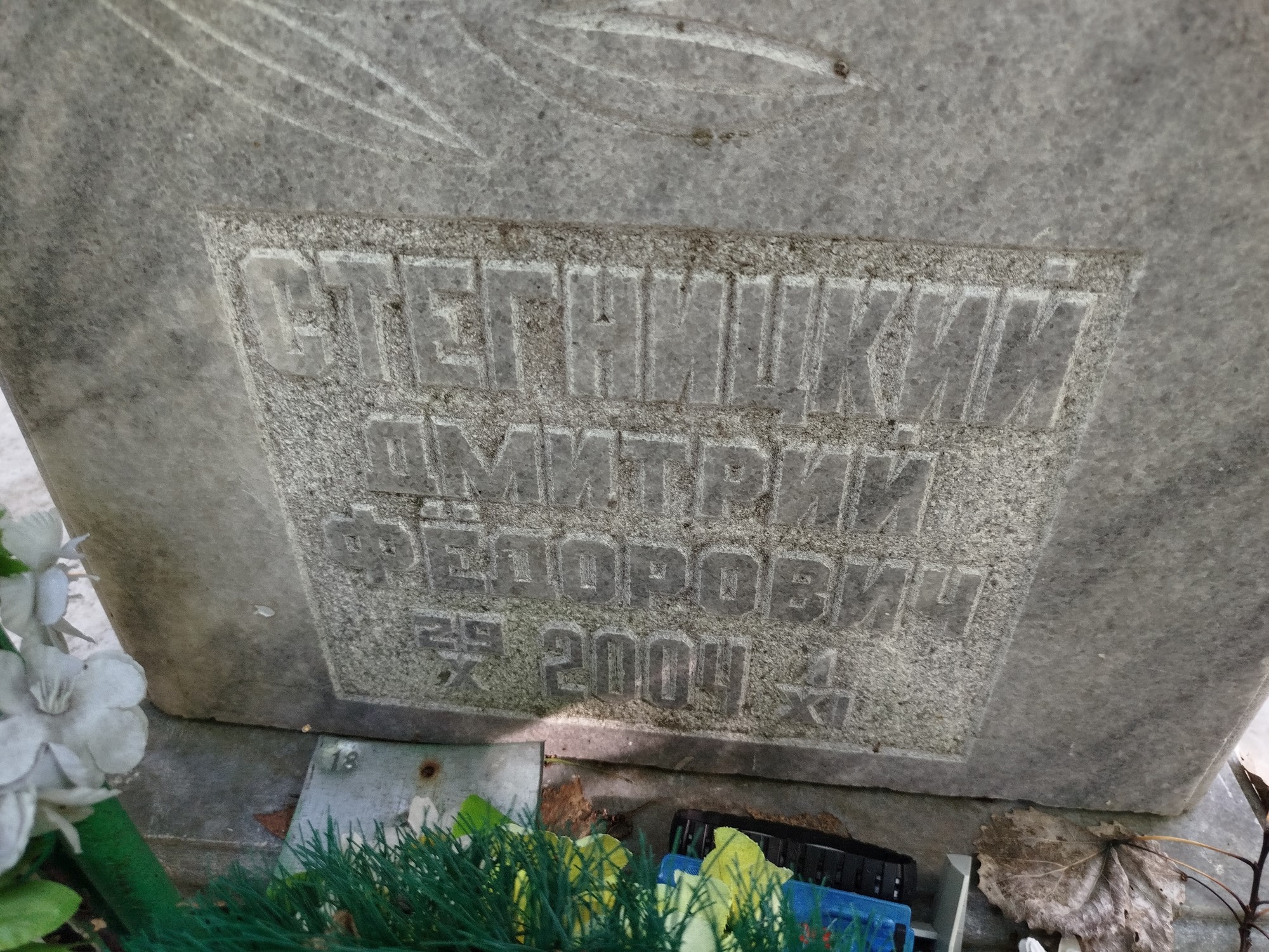 Стегницкий Дмитрий Федорович