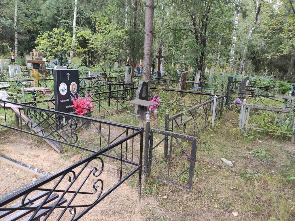 Дементьев Вадим Николаевич