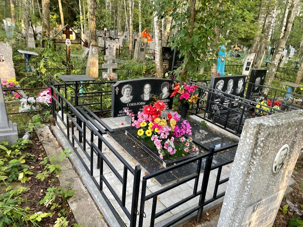 Соколов Борис Макарович