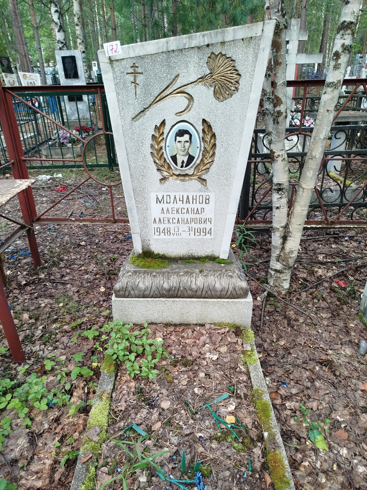 Молчанов Александр Александрович