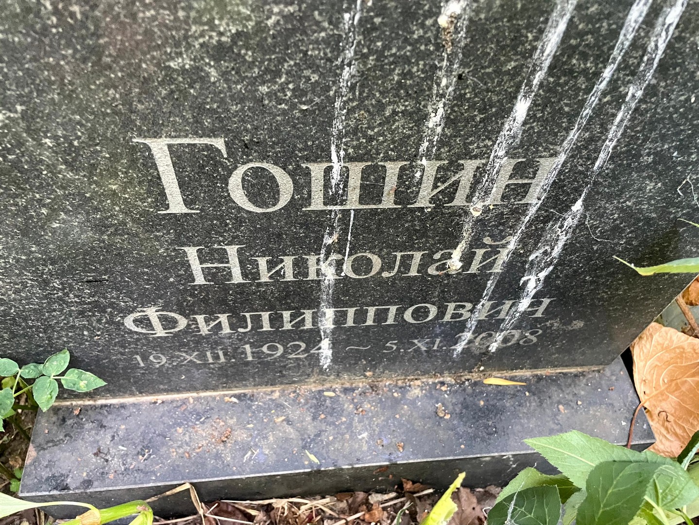 Гошин