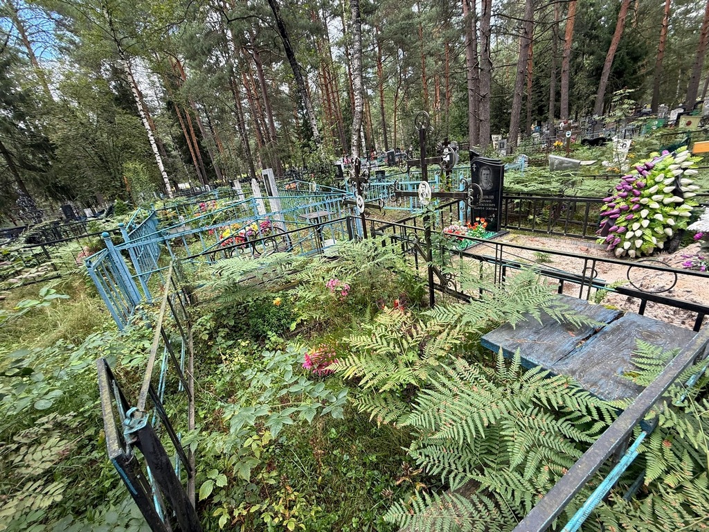 Пестов Юрий Александрович