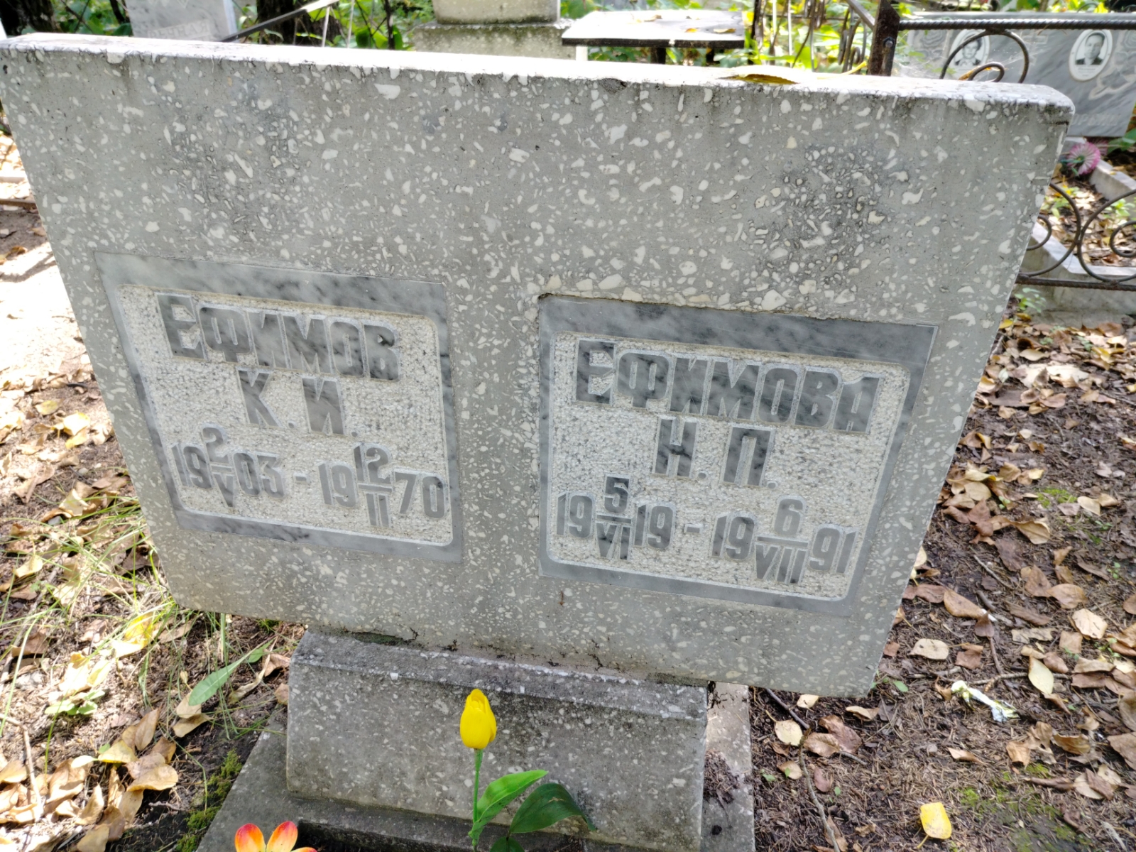 Ефимова Н. П.