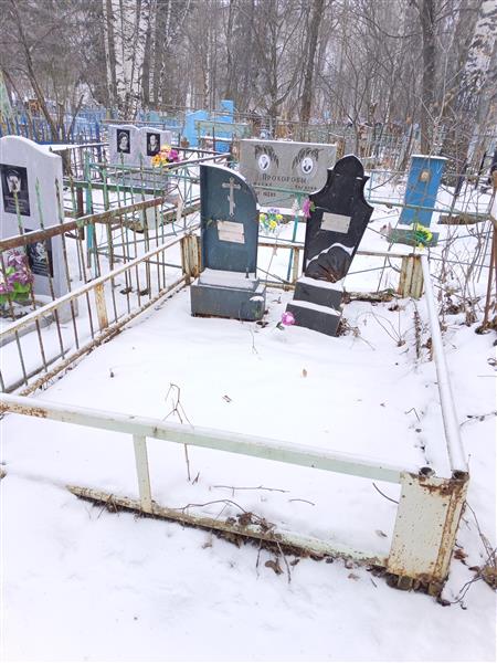 Кирьянова Александра Николаевна