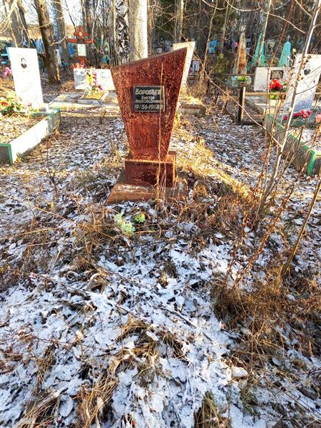 Воробьев Виктор Александрович