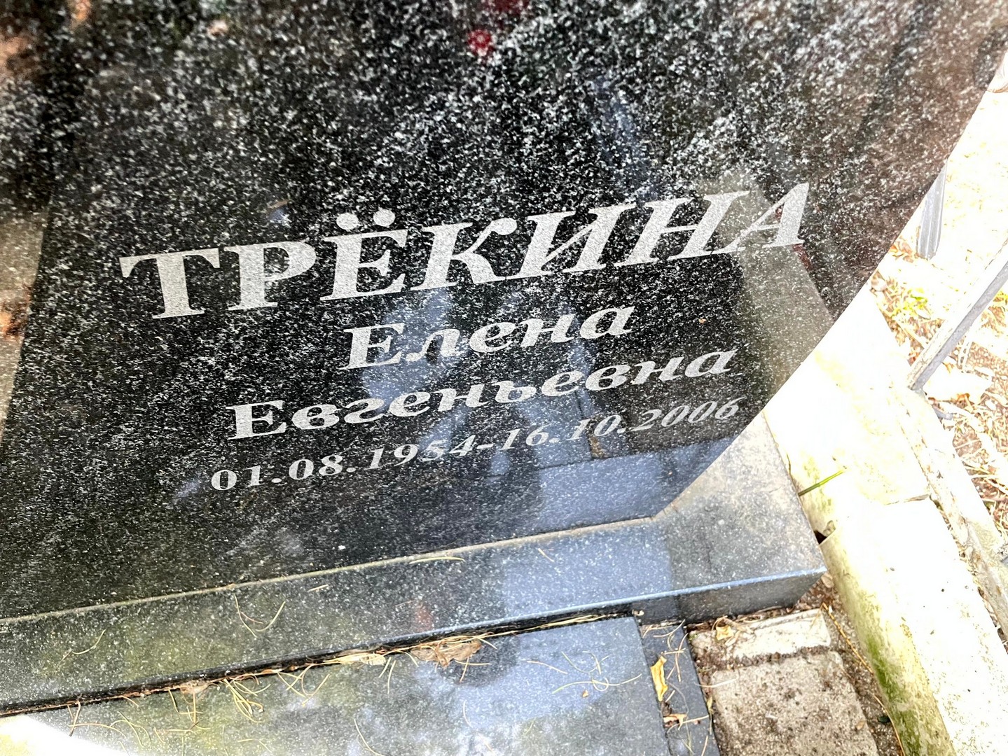Трекина