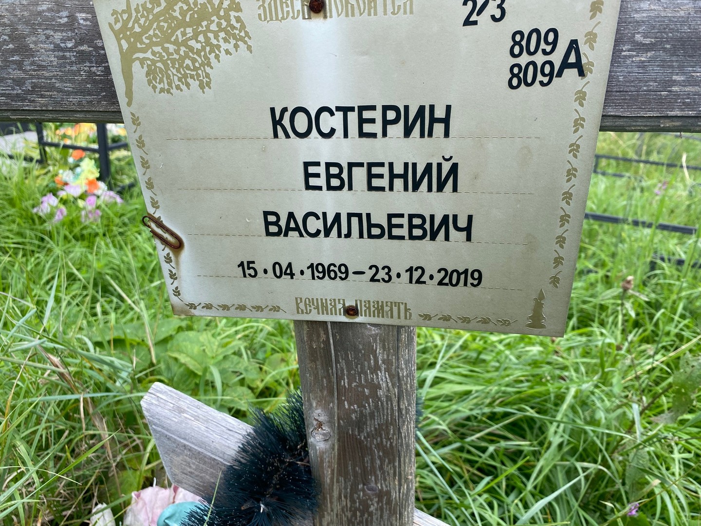 Костерин