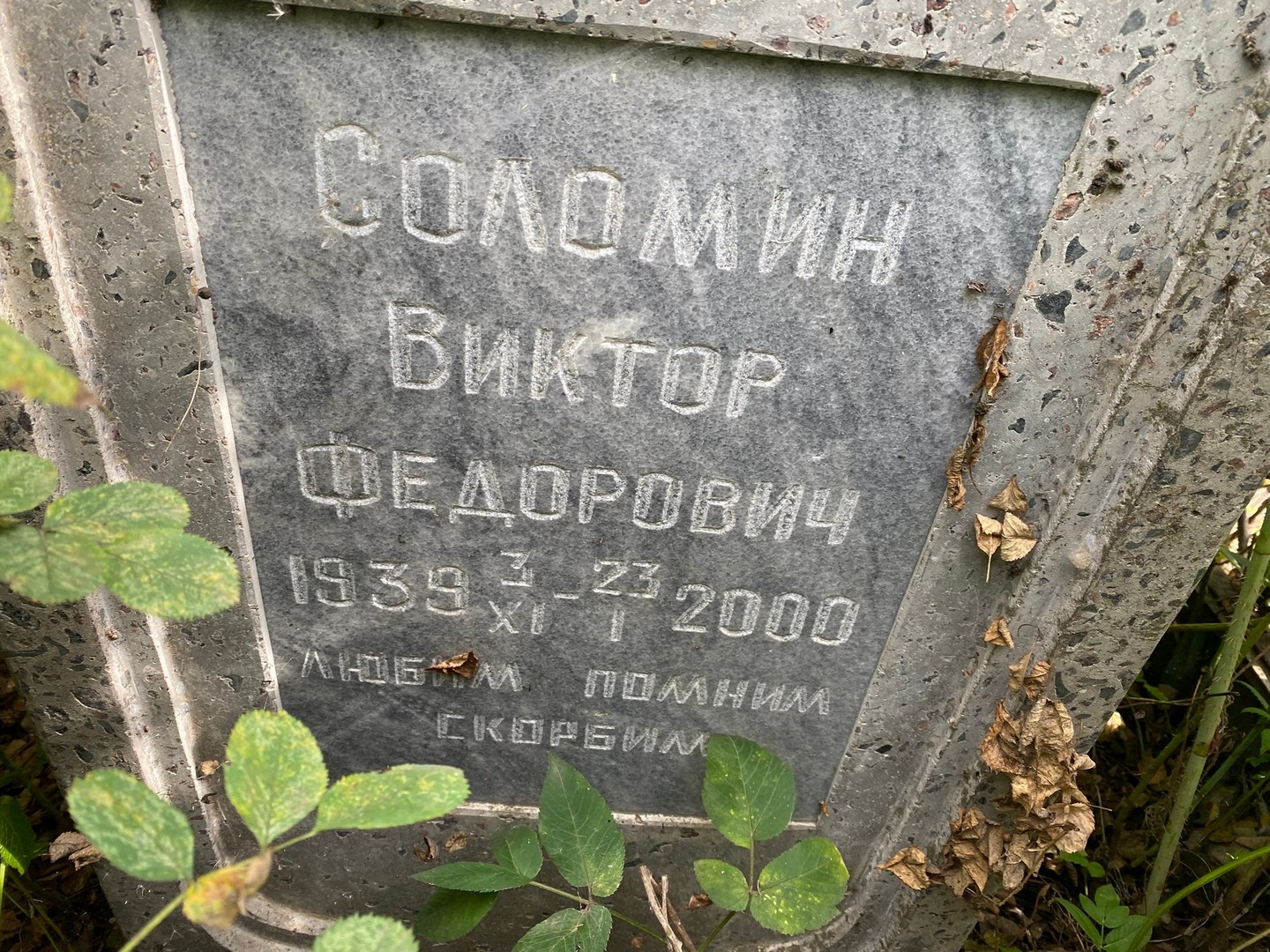 Соломин