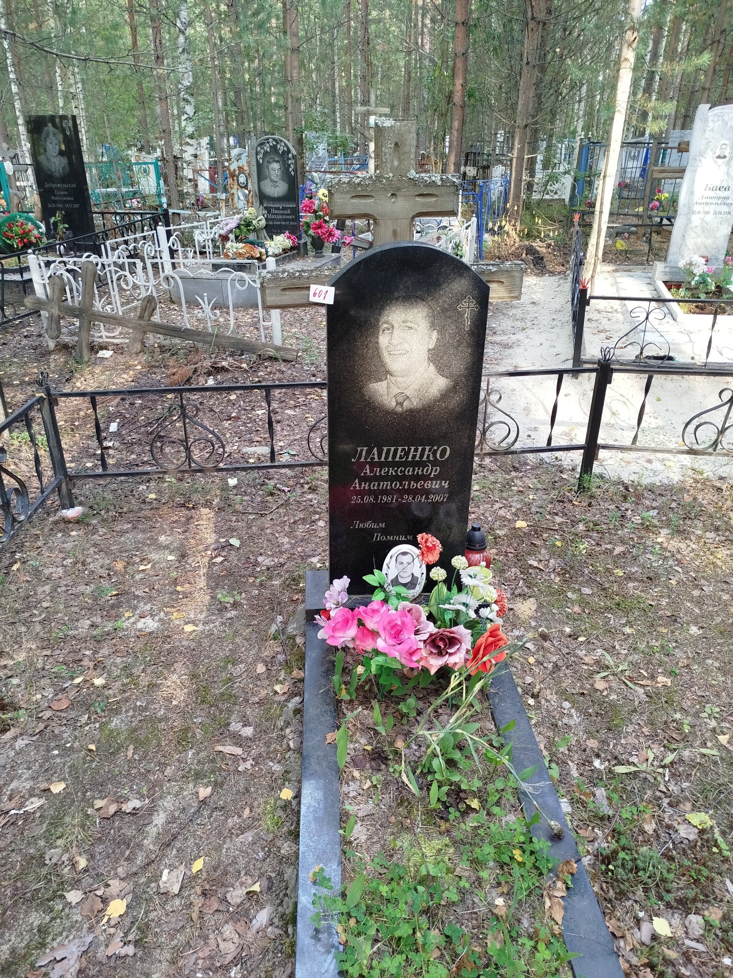 Лапенко Александр Анатольевич