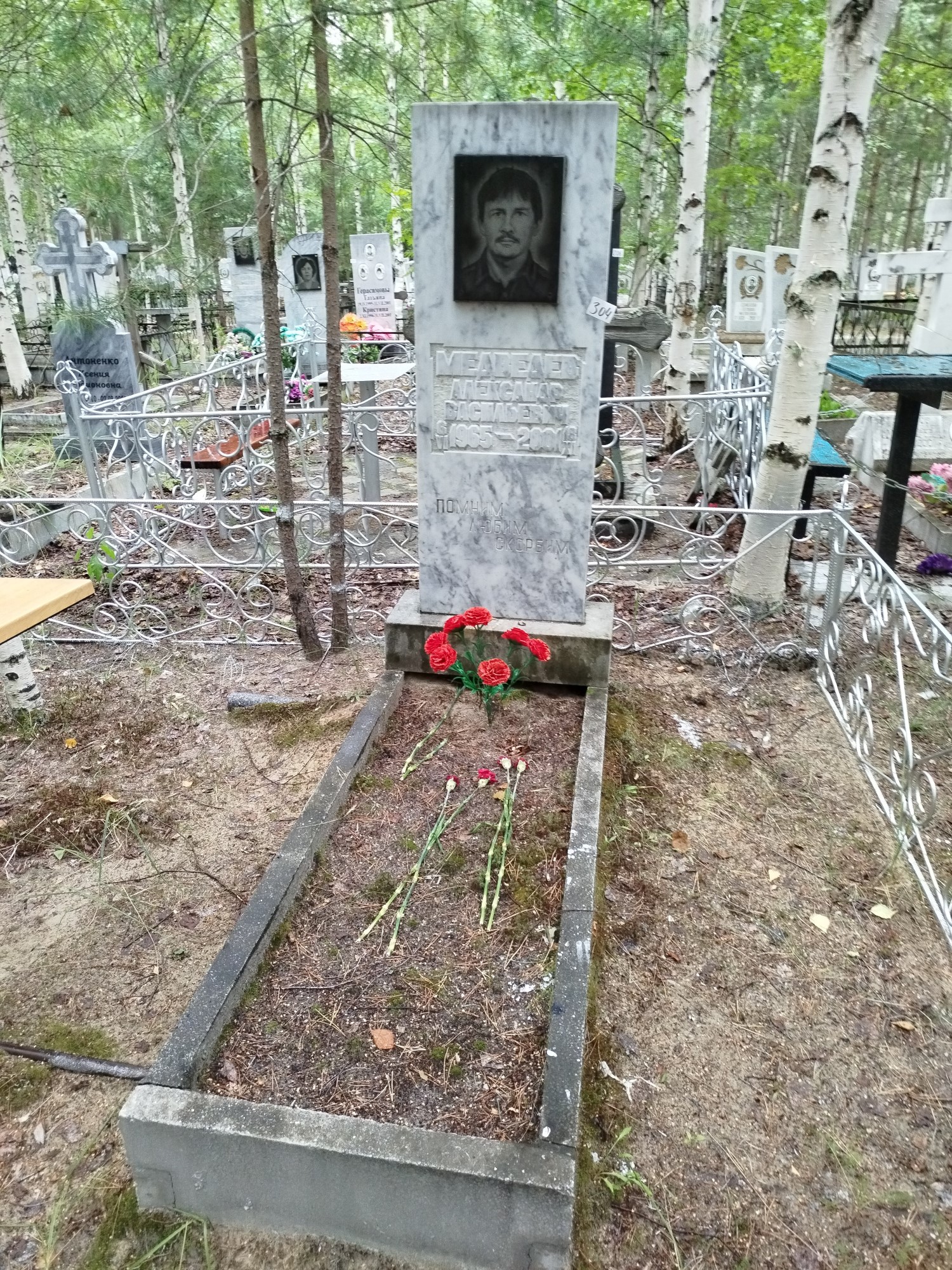 Медведев Александр Васильевич