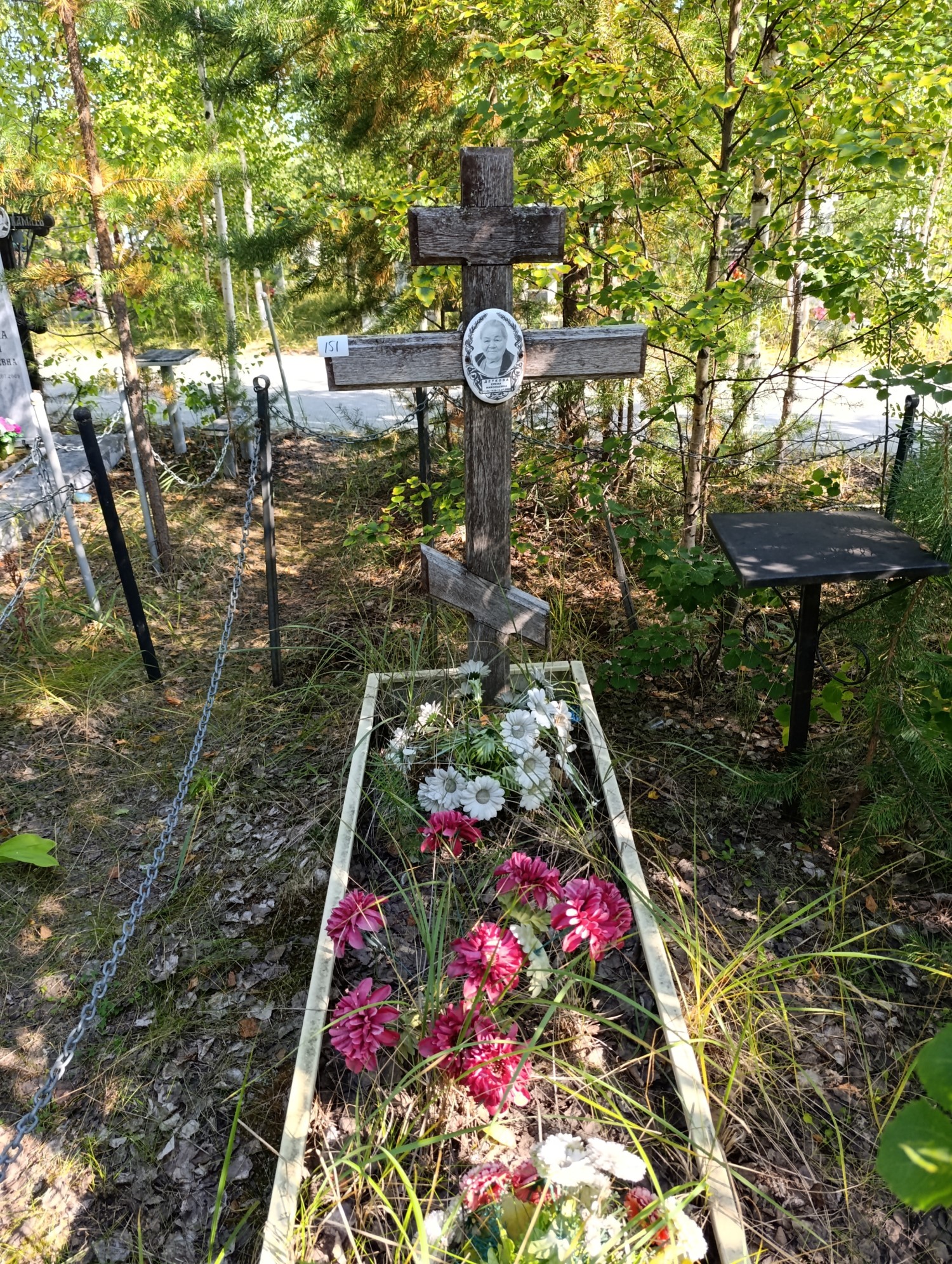 Деткова Елена Николаевна