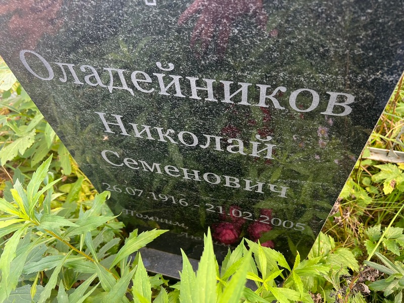 Оладейников