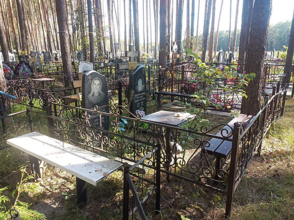 Митрофанова Татьяна Александровна