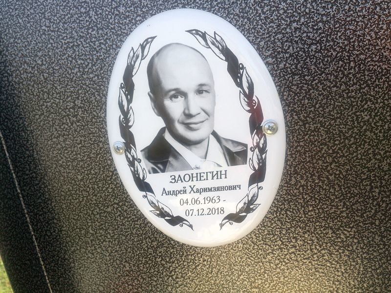 Заонегин