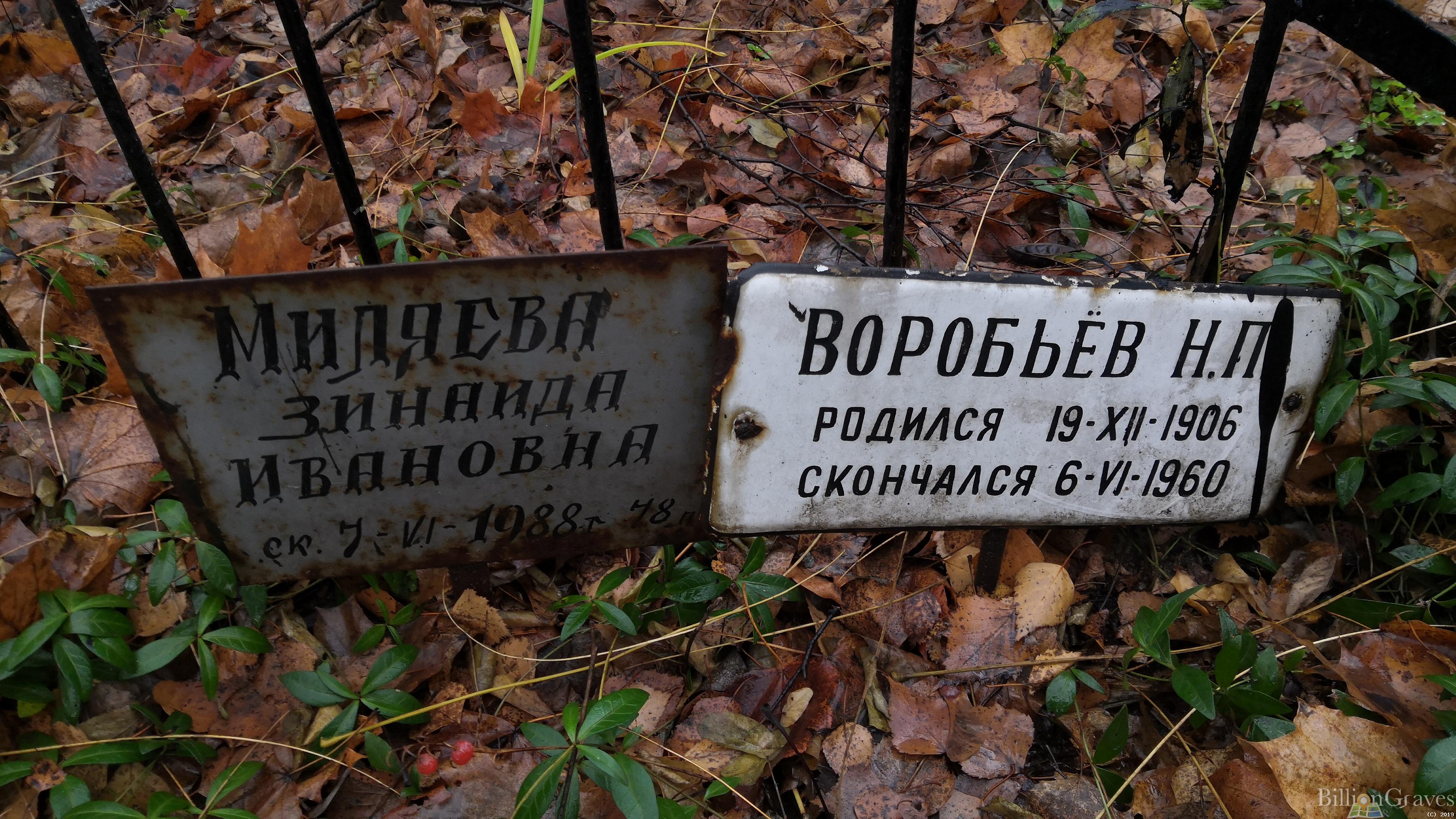 Воробьев Николай Петрович