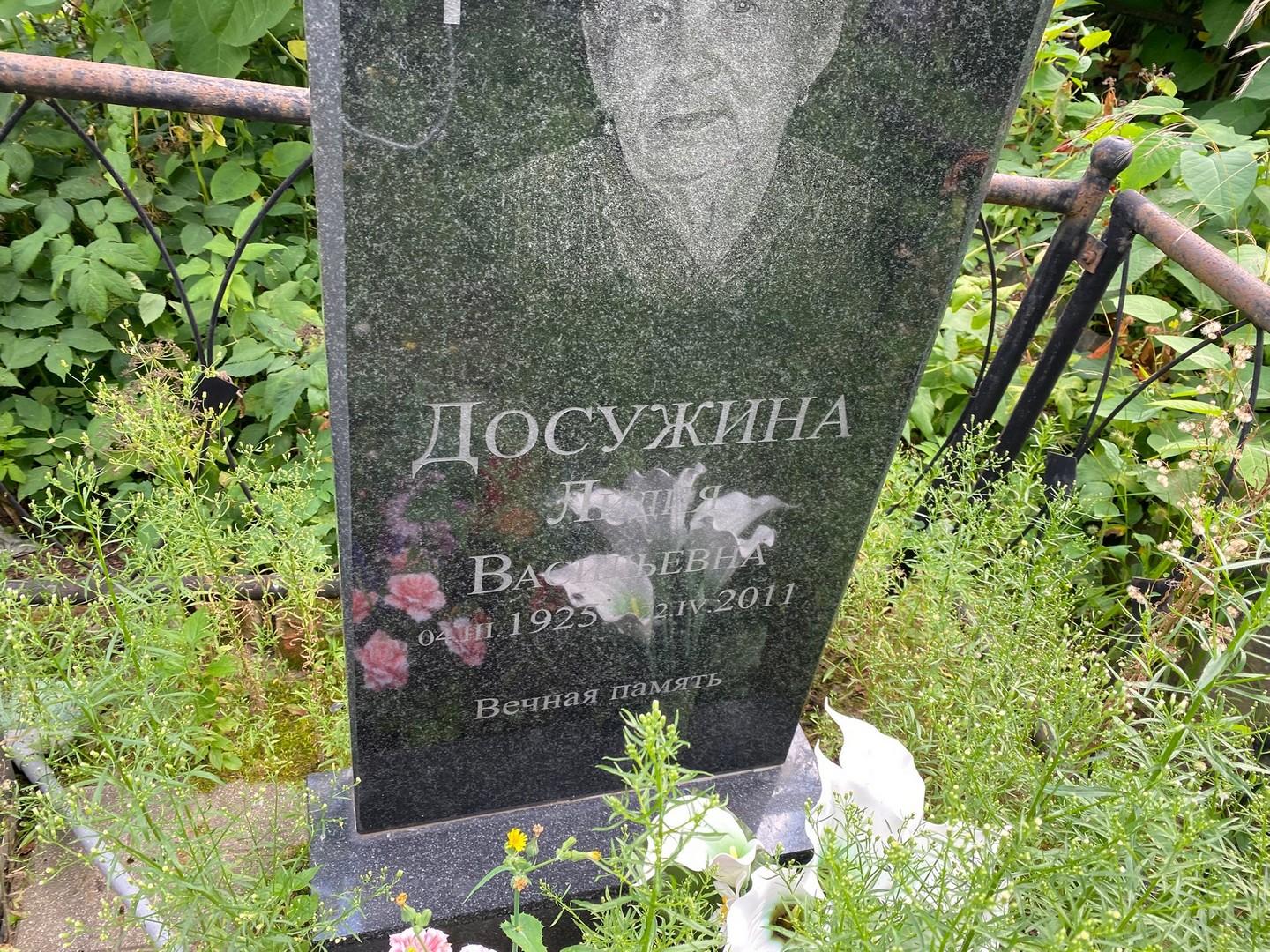 Досужина