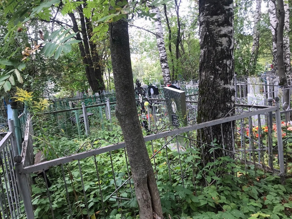 Полякова Нина Алексеевна