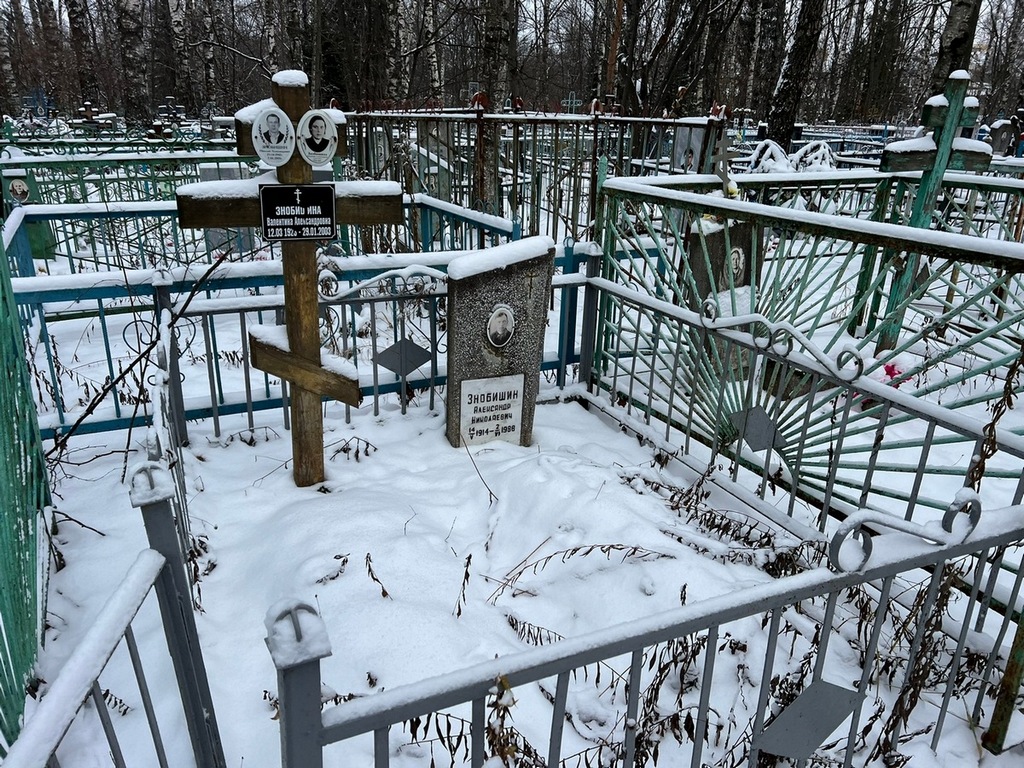 Знобишин Николай Александрович