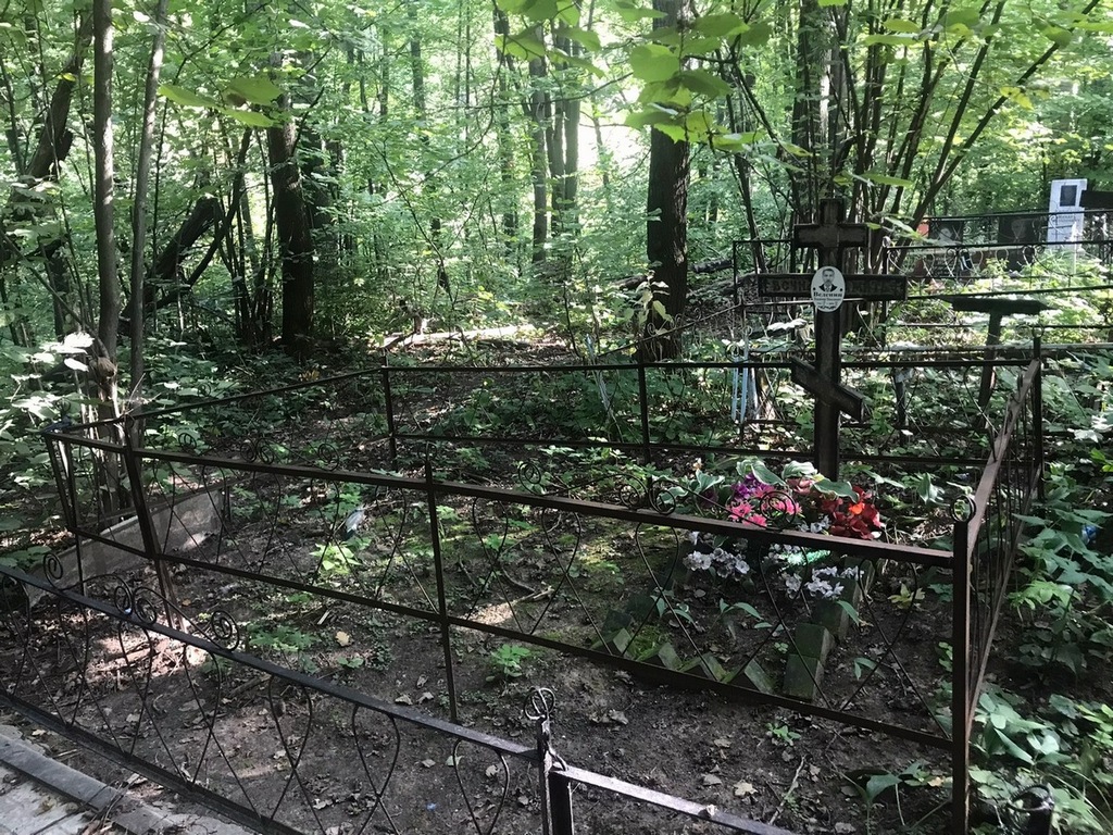 Веденин Владимир Николаевич