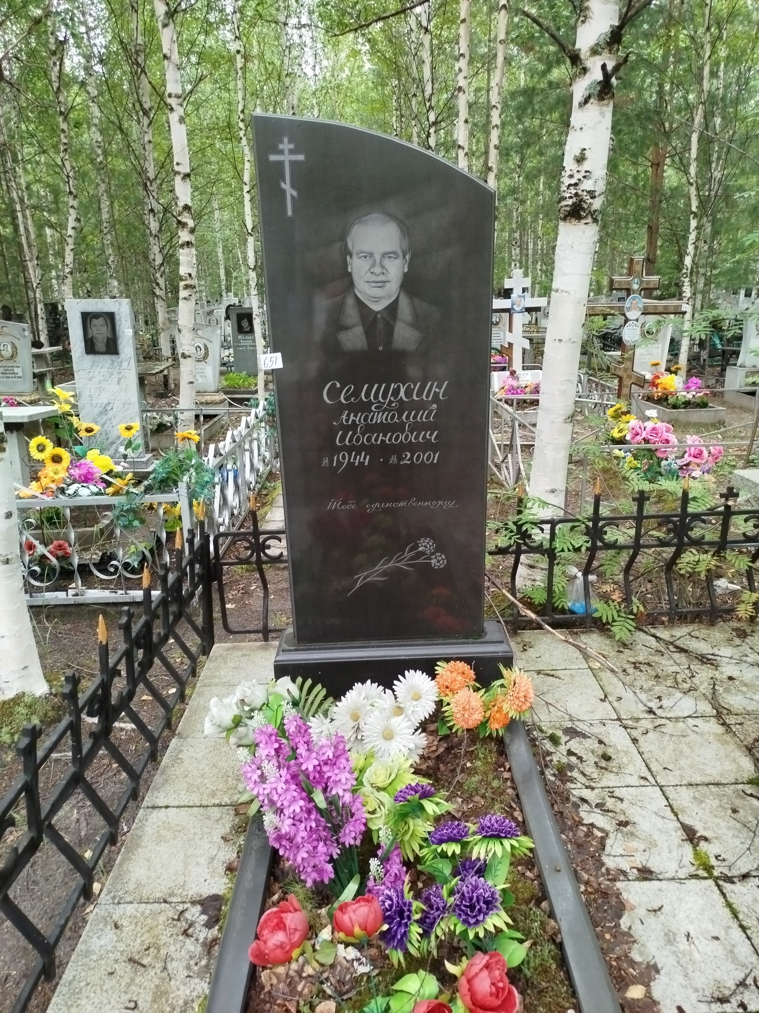 Семухин Анатолий Иванович