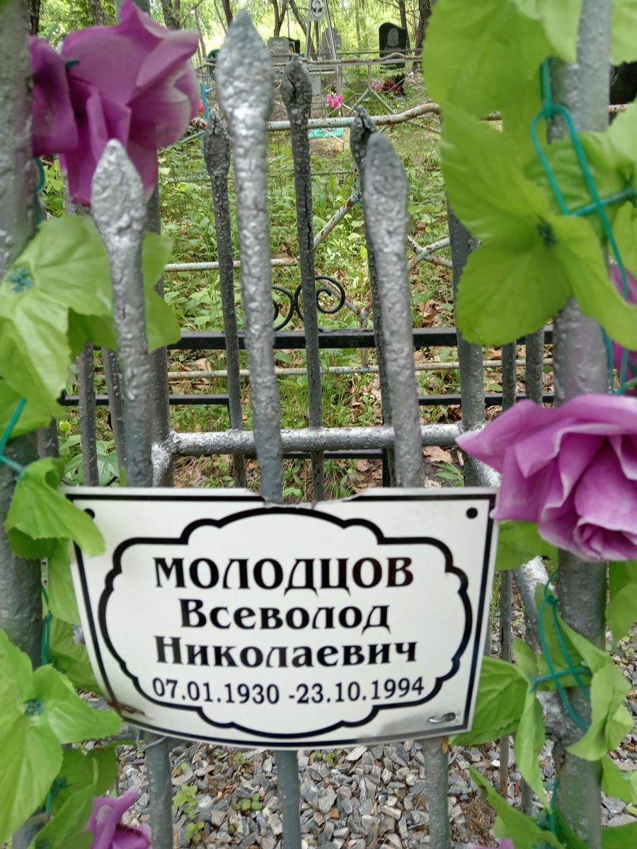 Молодцов Всеволод Николаевич
