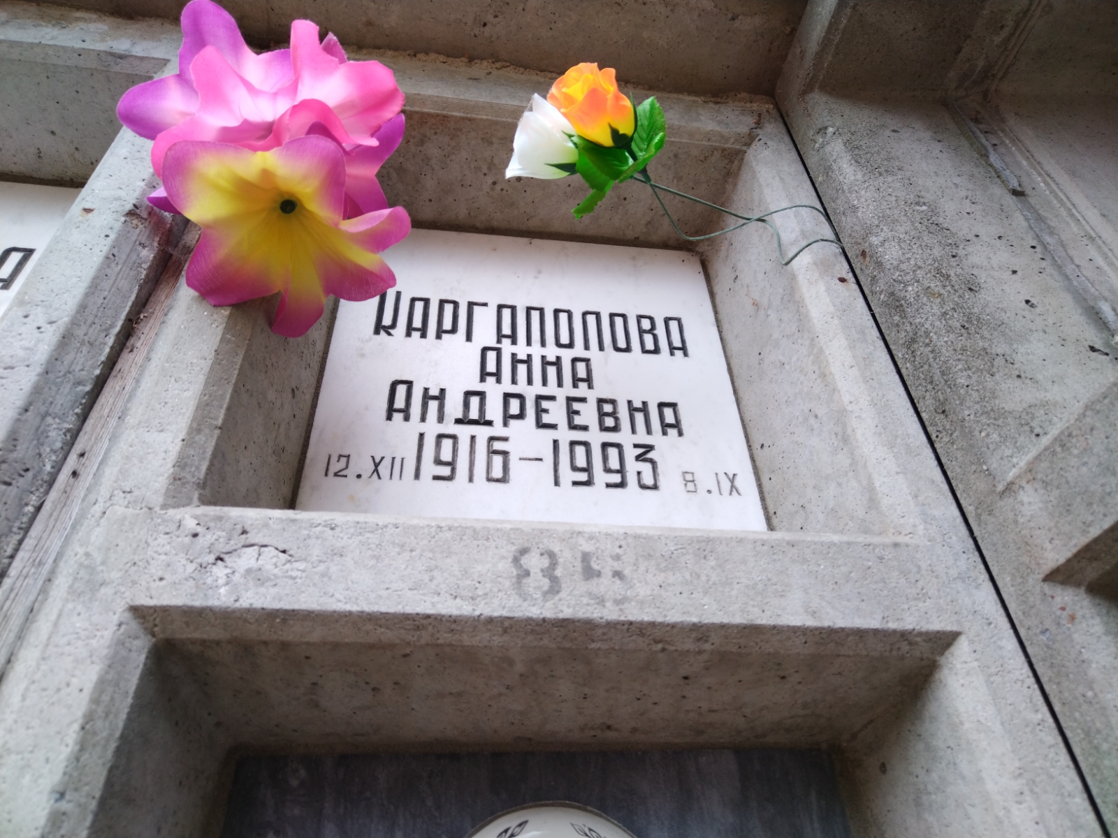 Каргаполова Анна Андреевна