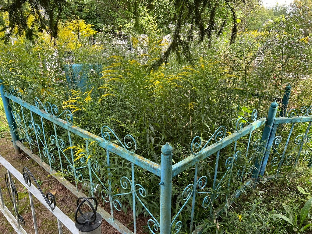 Гусев Михаил Михайлович