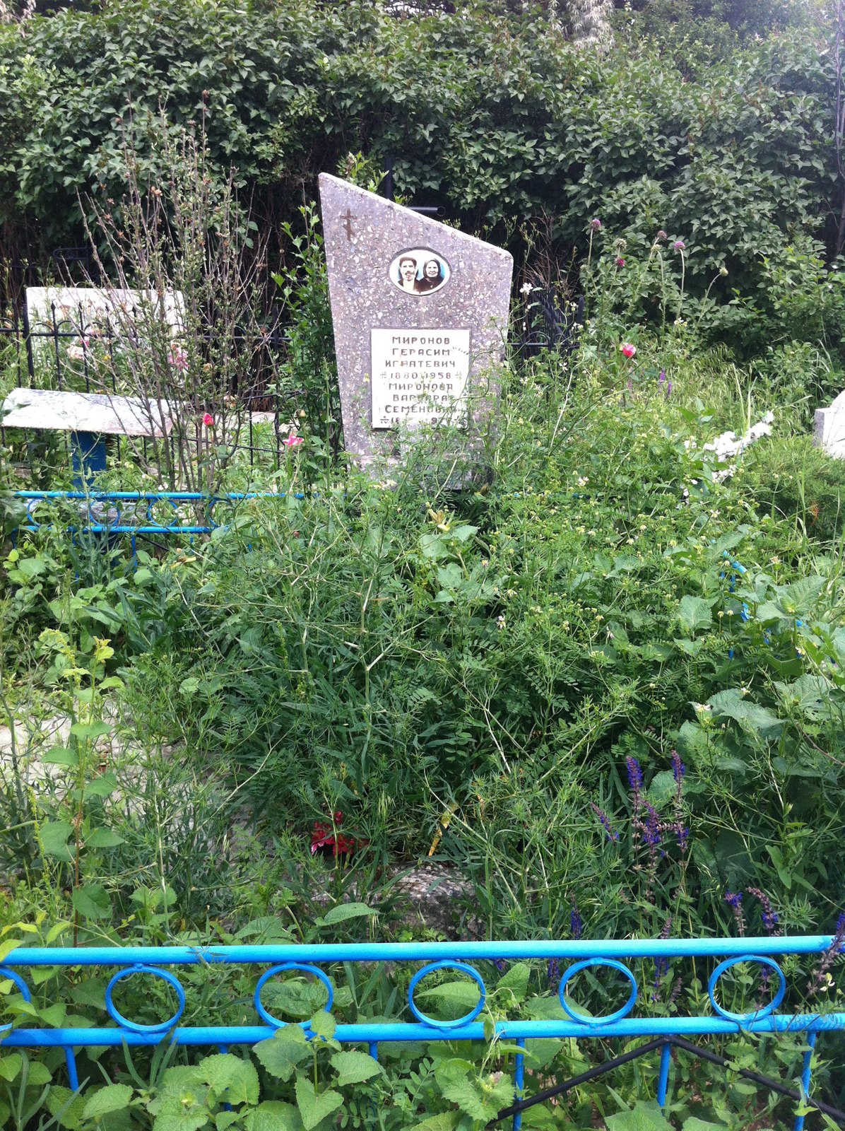 Миронов Герасим Игнатьевич