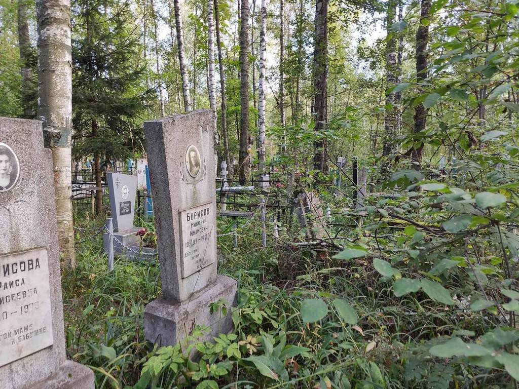 Борисов Николай Иванович