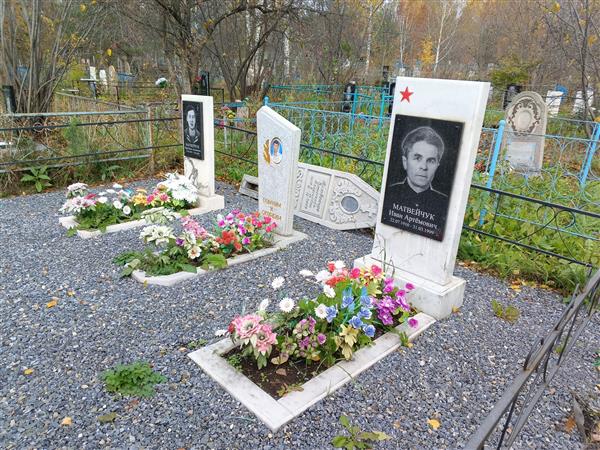 Матвейчук Александр Иванович