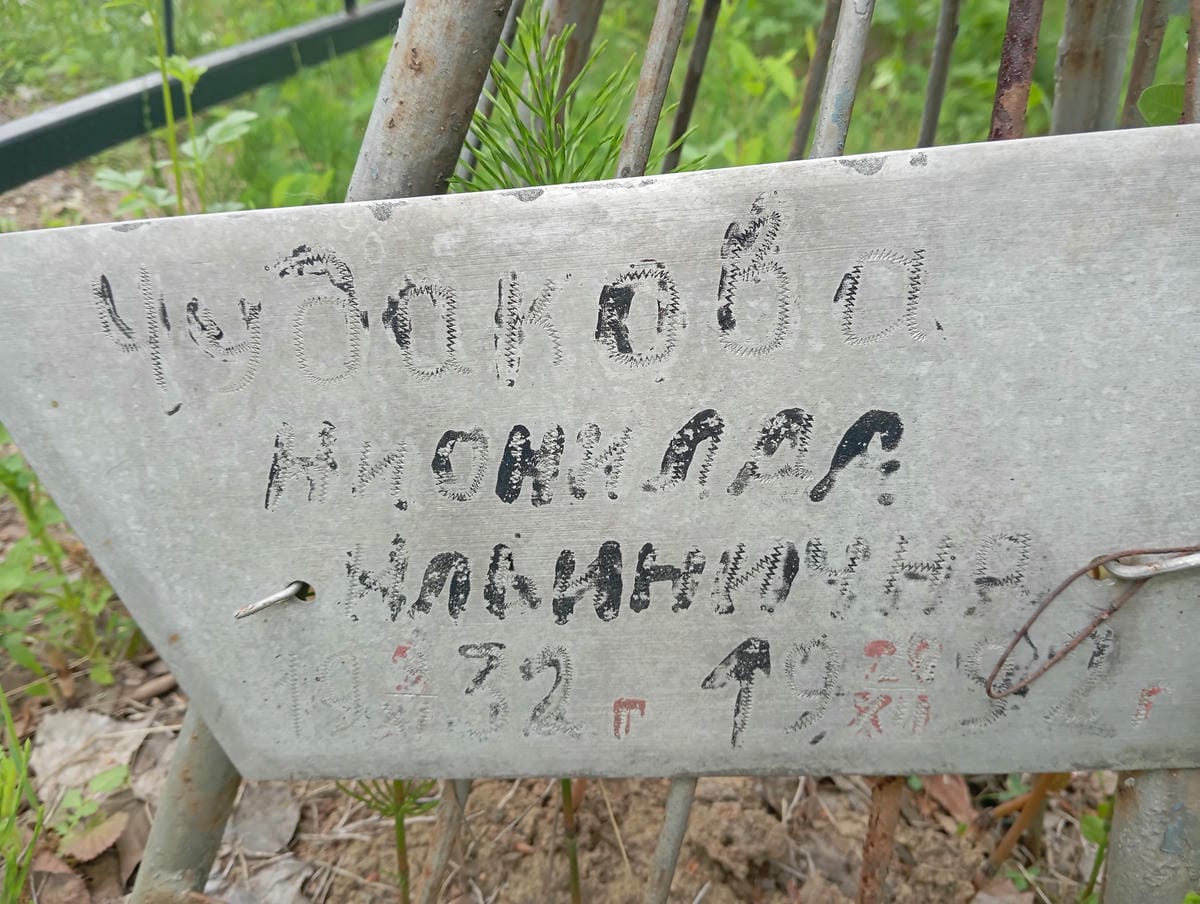 Чудакова Нионила Ильинична
