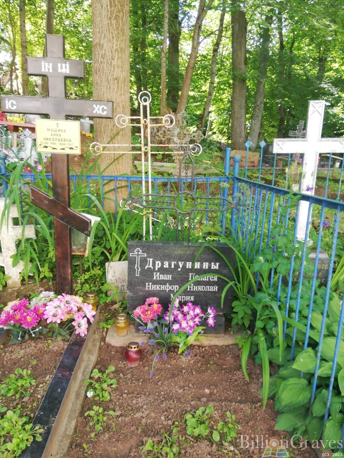 Машина Анна Николаевна