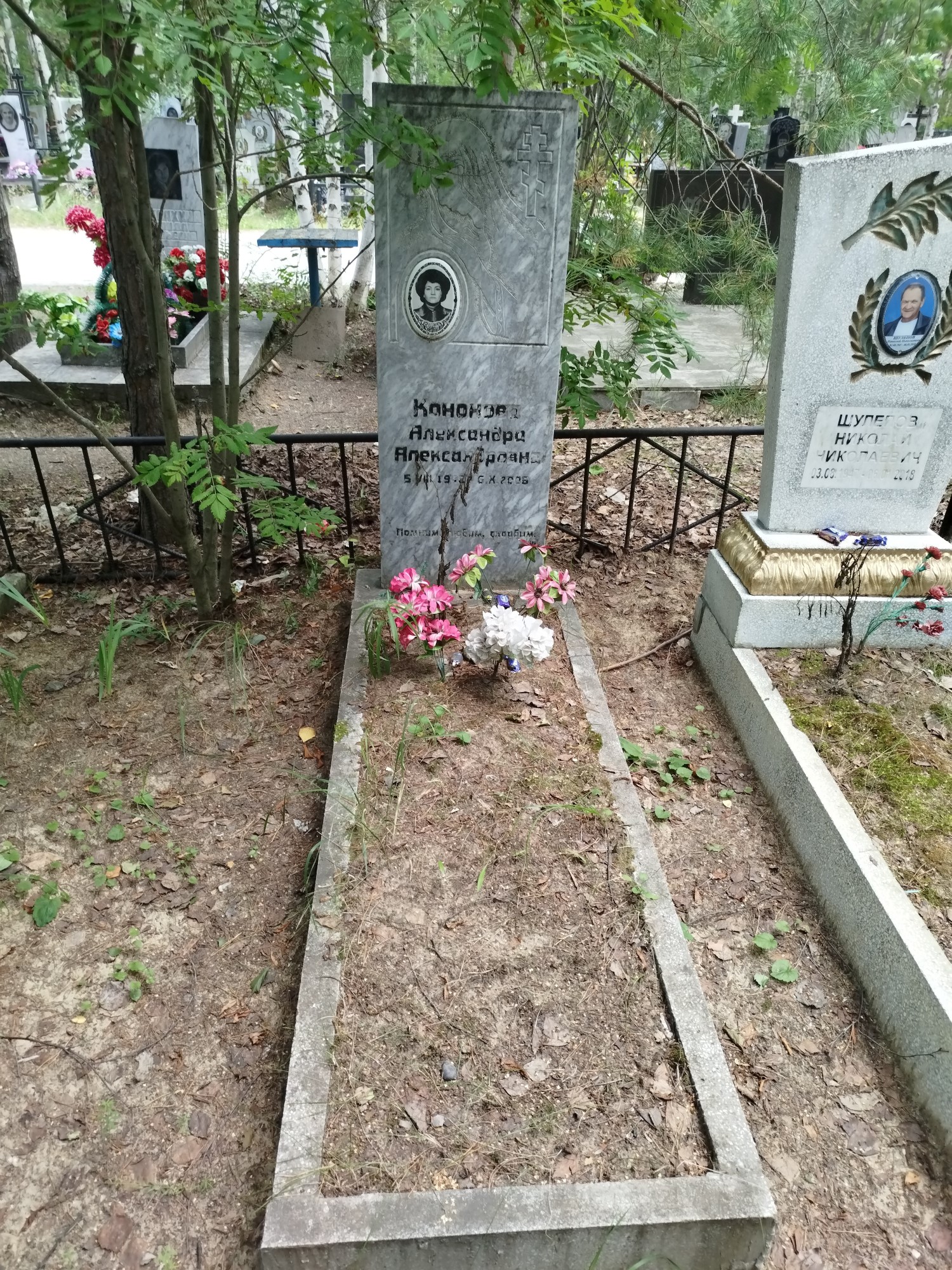 Кононова Александра Александровна