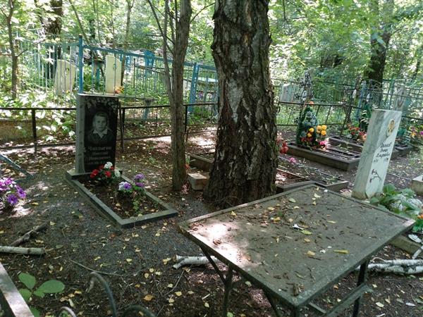 Чаплыгин Анатолий Ильич